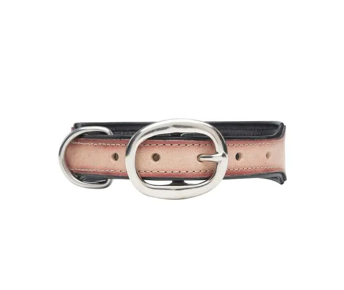 Myra Bag: S-10199 "Cow Dog Trail Hand-Tooled Dog Collar"