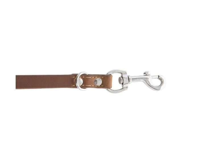 Myra Bag: S-10634 "Viaje Dog Leash in Caramel"