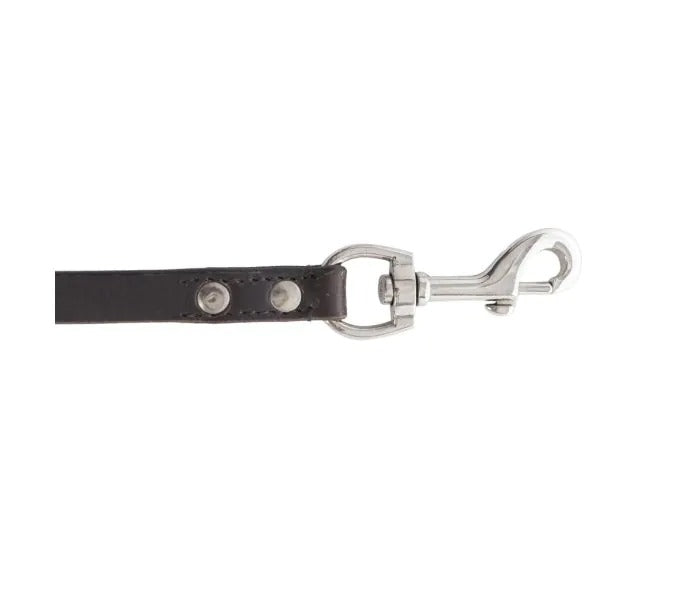 Myra Bag: S-10635 "Viaje Dog Leash in Ebony"