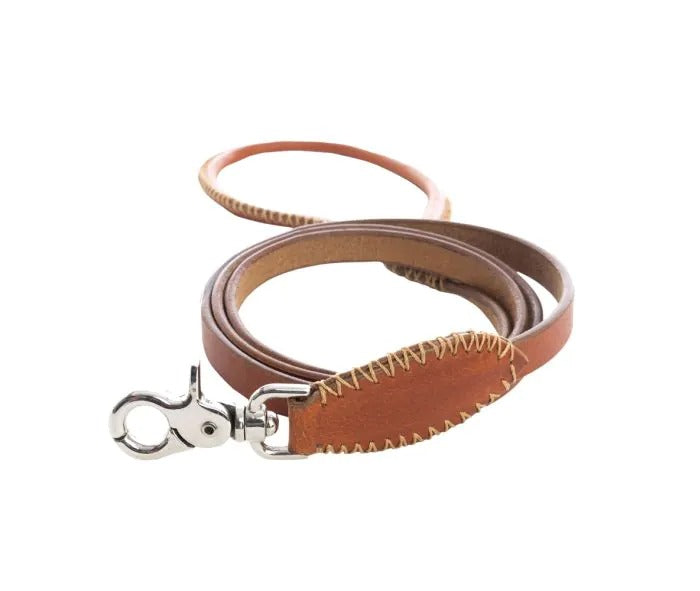 Myra Bag: S-10636 "Exploradora Dog Leash in Caramel"