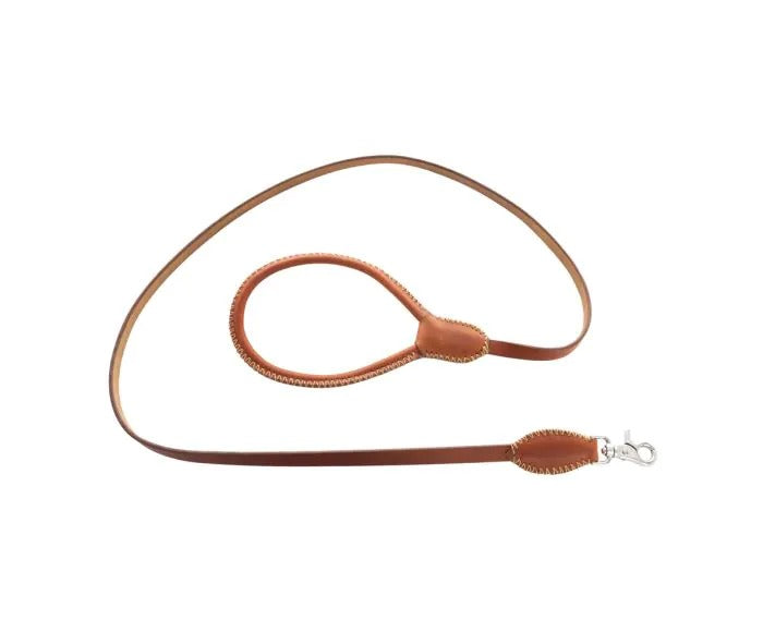 Myra Bag: S-10636 "Exploradora Dog Leash in Caramel"