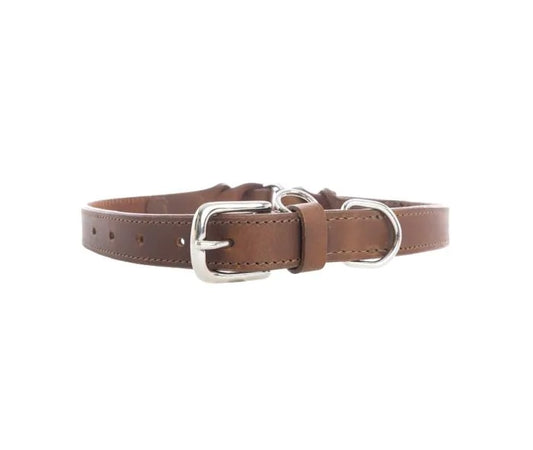 Myra Bag: S-10638 "Topside Dog Collar in Chocolate"