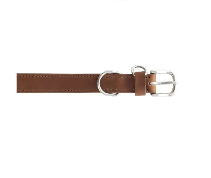 Myra Bag: S-10638 "Topside Dog Collar in Chocolate"