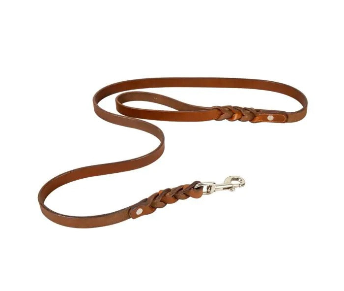 Myra Bag: S-7690 "Explorer Leather Dog Leash"